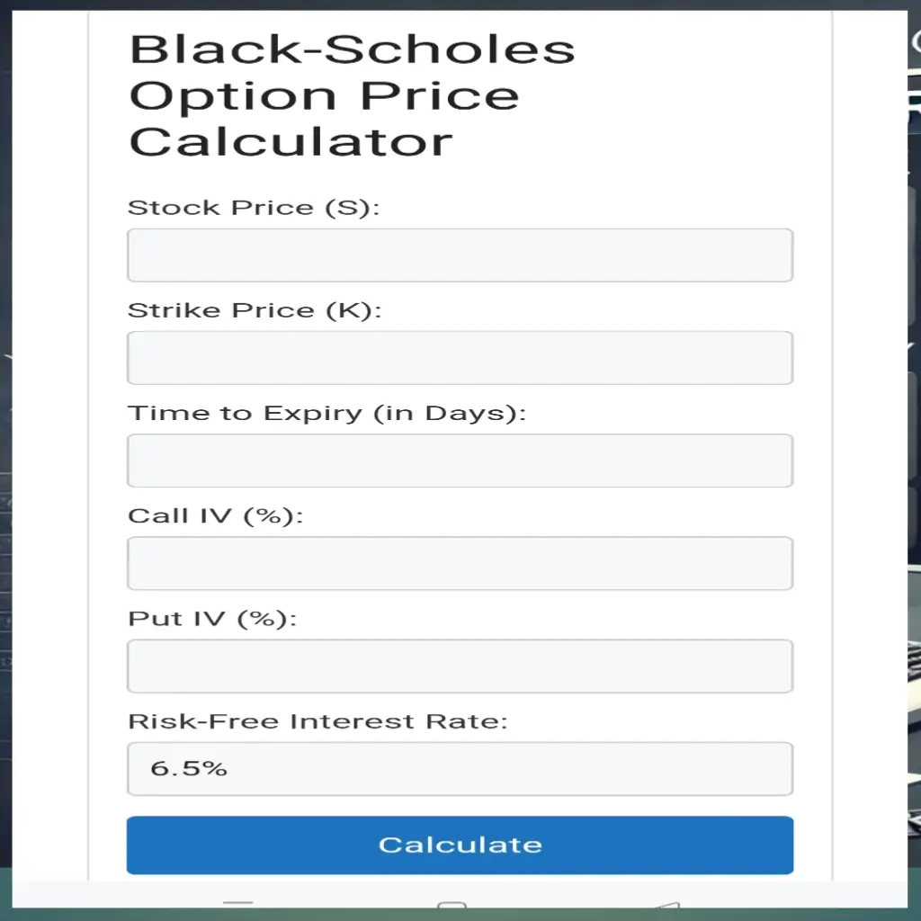 Option Price Calculator Interface phot